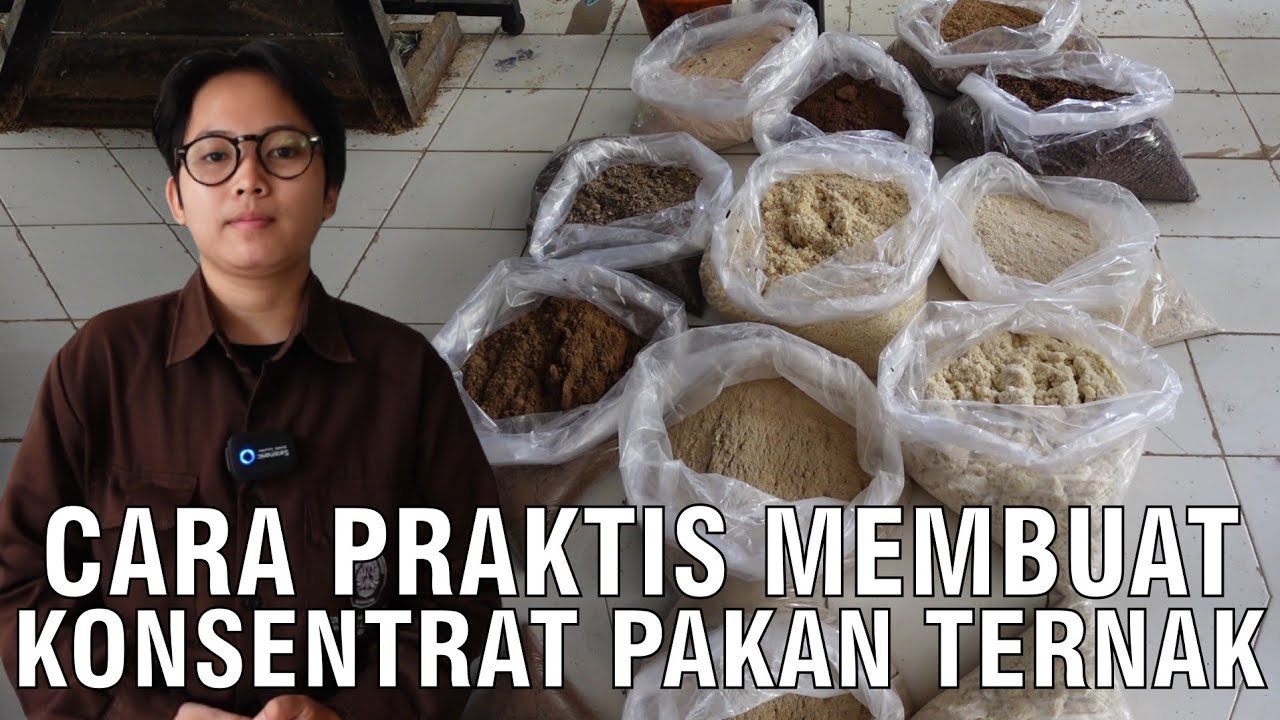 
                                 Cara-Praktis-Membuat-Konsentrat-Pakan-Ternak-Sapi